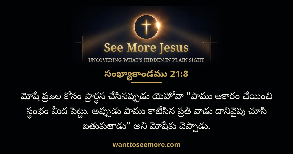 Numbers 21:8