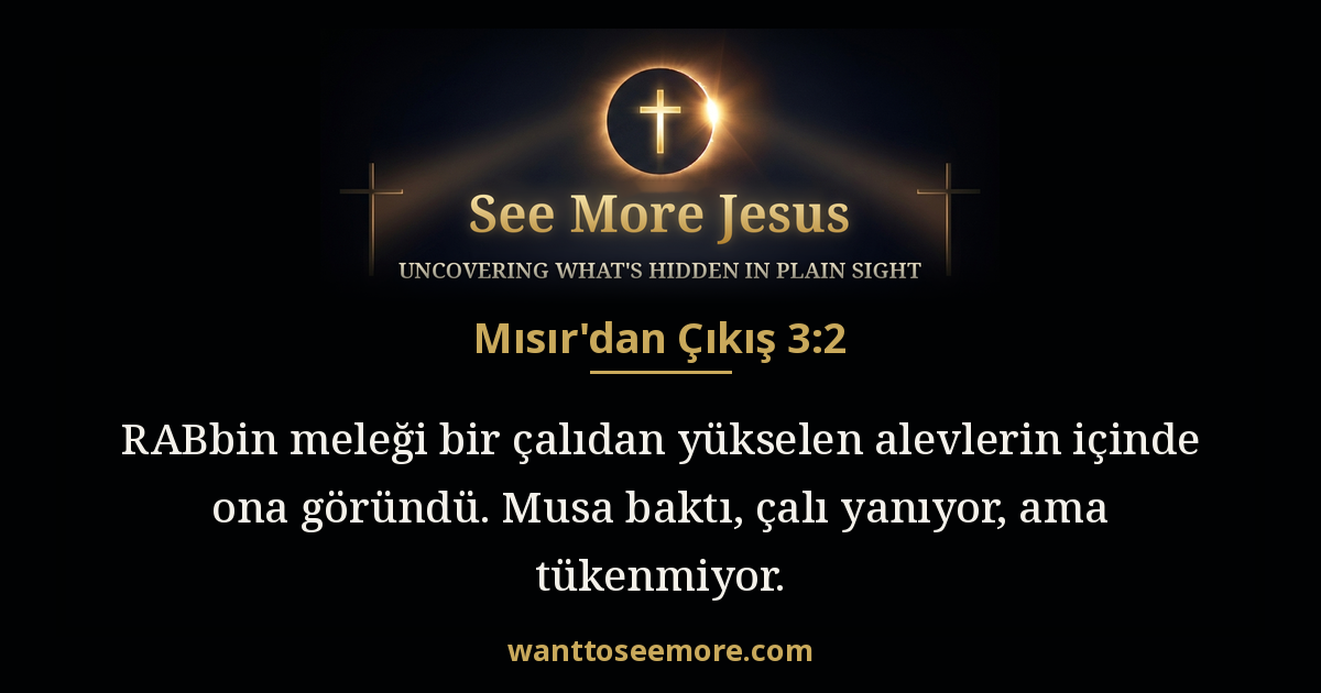 Exodus 3:2