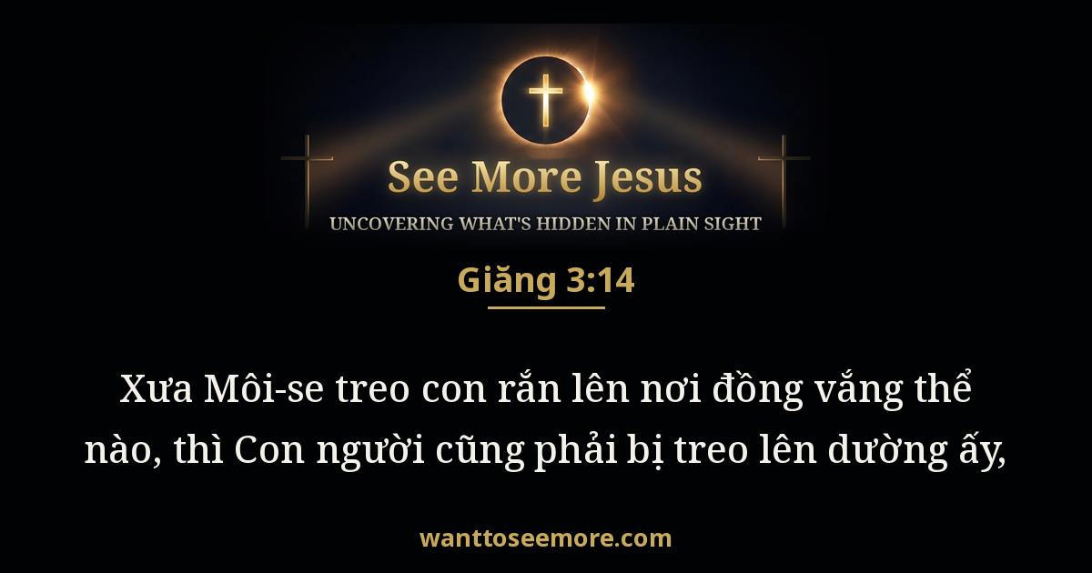 John 3:14