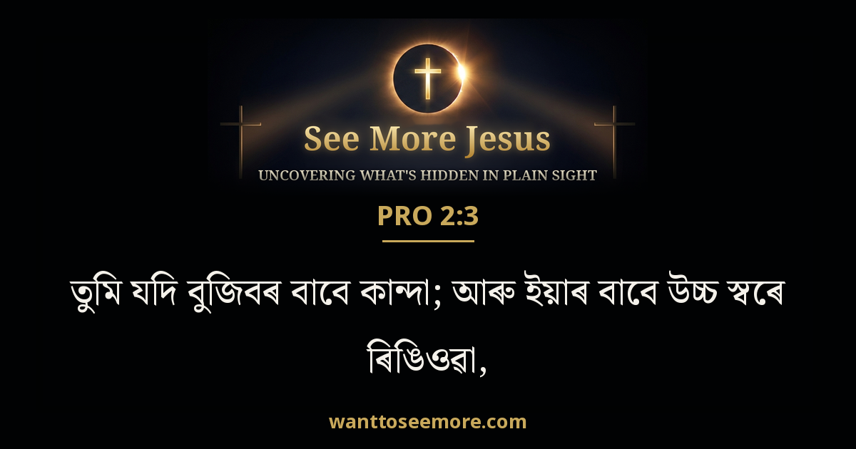 Proverbs 2:3